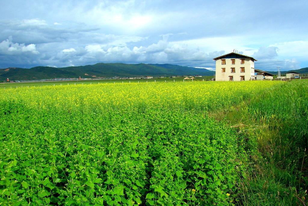 Shangri-La Lao Shay Youth Hostel Bagian luar foto