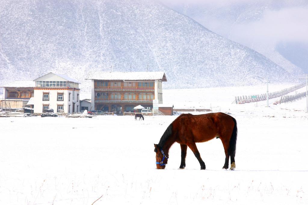 Shangri-La Lao Shay Youth Hostel Bagian luar foto