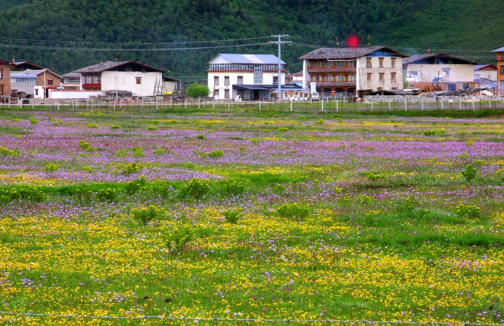 Shangri-La Lao Shay Youth Hostel Bagian luar foto
