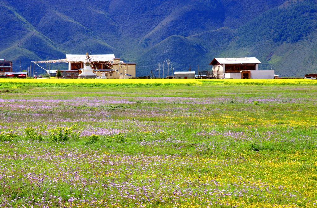 Shangri-La Lao Shay Youth Hostel Bagian luar foto