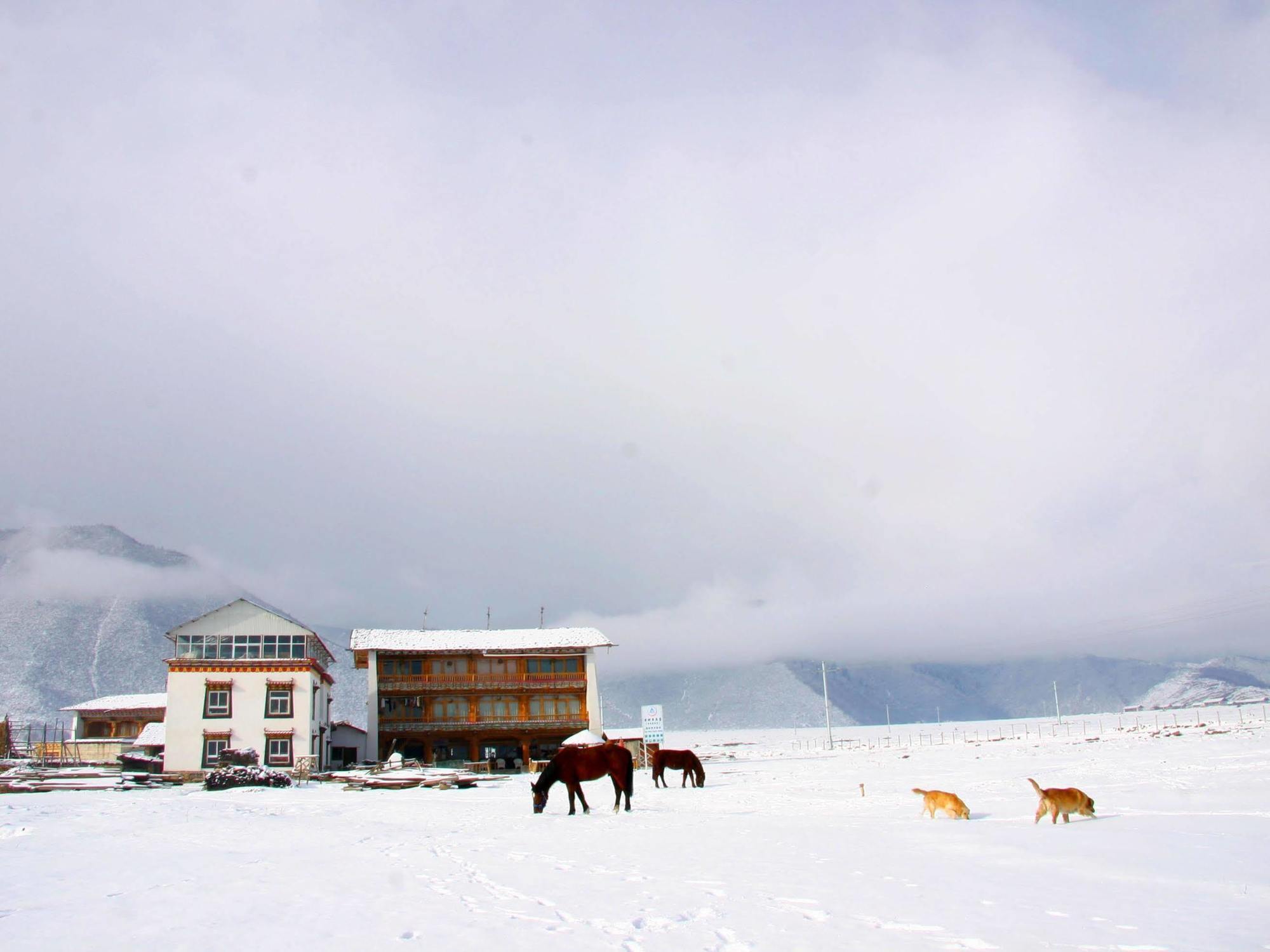 Shangri-La Lao Shay Youth Hostel Bagian luar foto